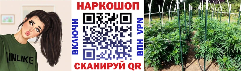 Где купить Лысково Кокаин  Бошки Шишки  ТГК  ГАШ  гидра   Мефедрон 