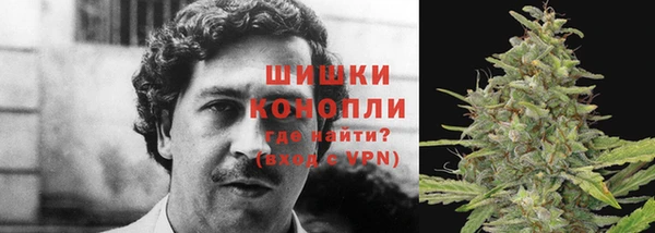 PSILOCYBIN Алзамай