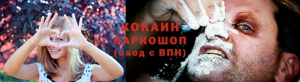 PSILOCYBIN Алзамай