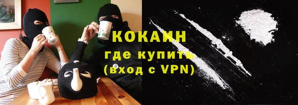 стаф Алексин