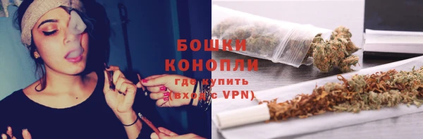 PSILOCYBIN Алзамай