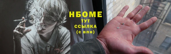 стаф Алексин