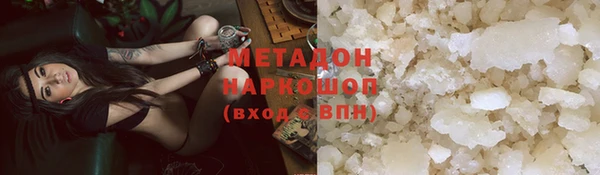 PSILOCYBIN Алзамай