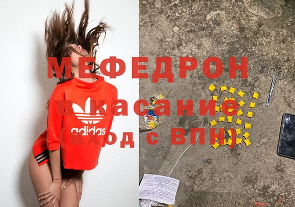 стаф Алексин