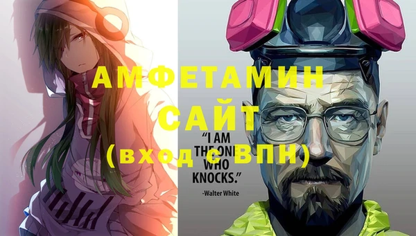 PSILOCYBIN Алзамай