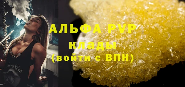 стаф Алексин