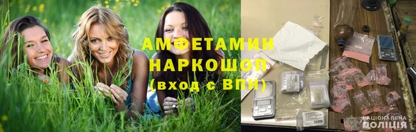 стаф Алексин